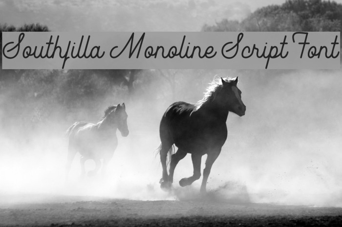 Southfilla Monoline Script Font Font examples