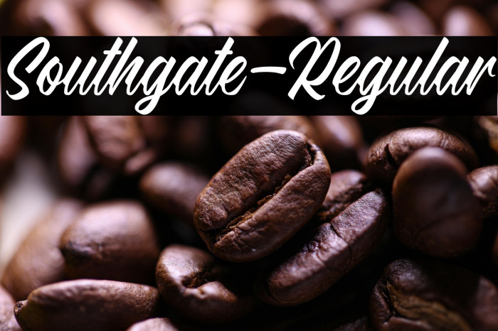 Southgate-Regular Example 1