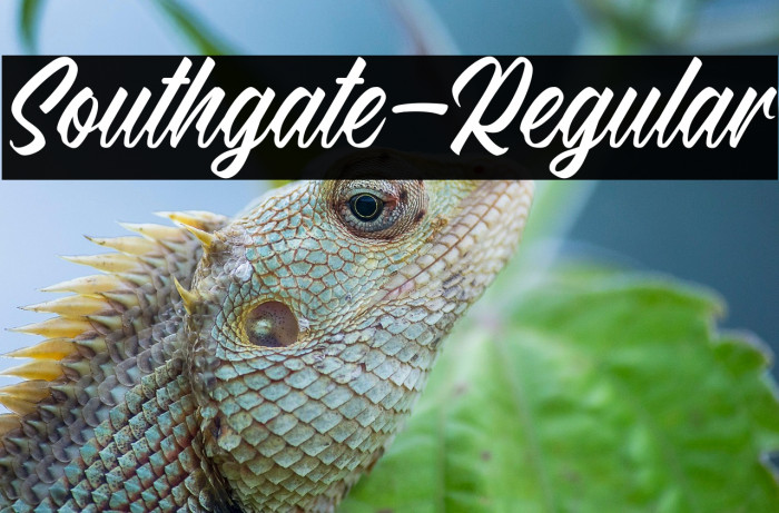 Southgate-Regular Example 3