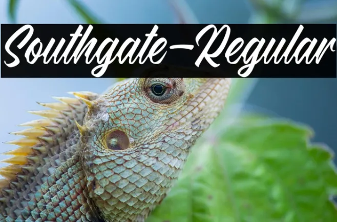 Southgate-Regular Example 3