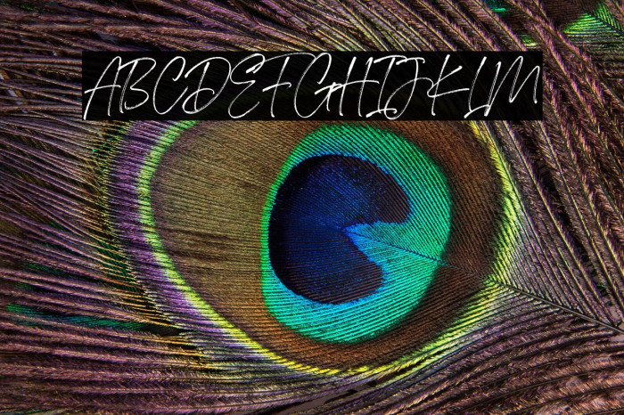 Southgirl Demo Example 2