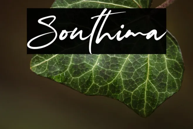 Southima Example 3