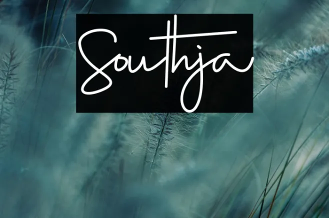 Southja Example 1