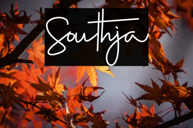 Southja Example 3