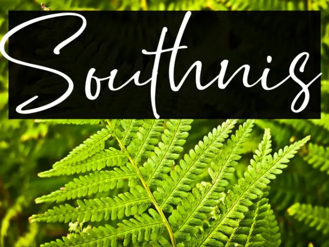 Southnis Example 1