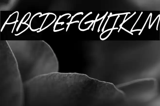 Southpaw Font examples