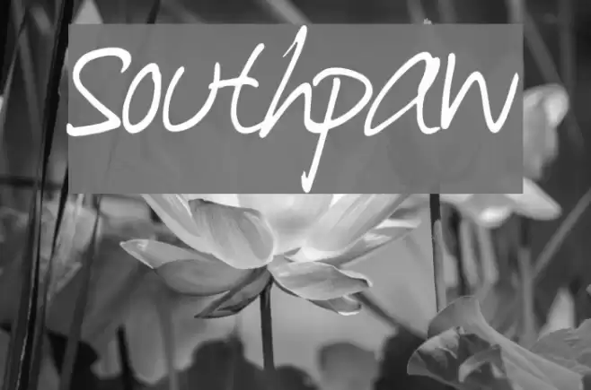 Southpaw Font examples