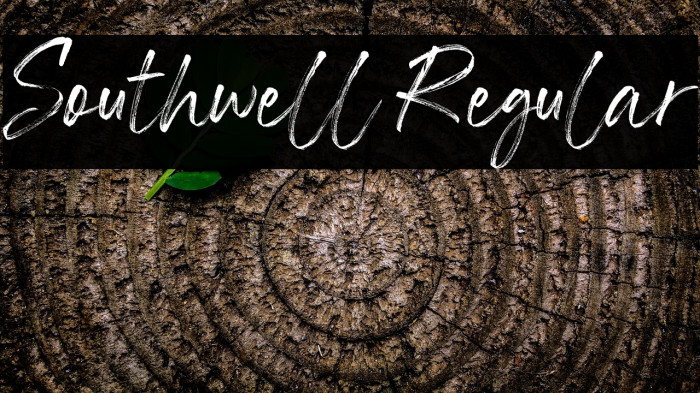 Southwell Regular Example 3