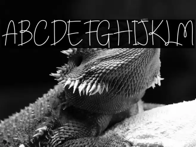 Southwill Font examples