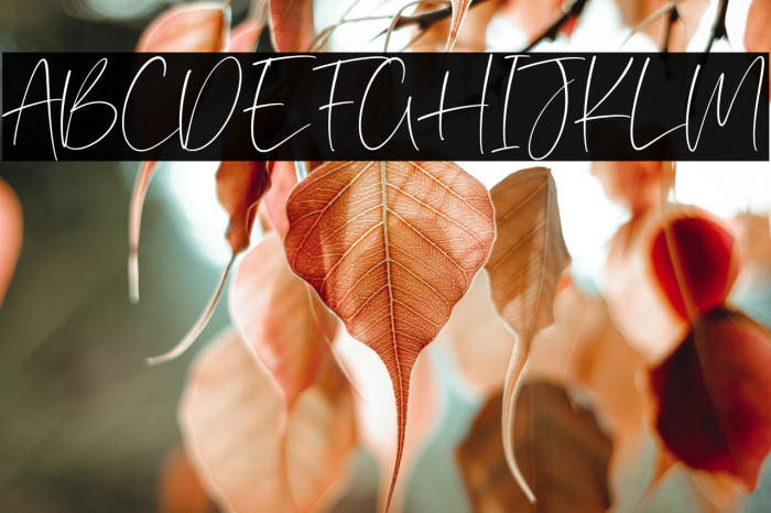 Southwood Font examples