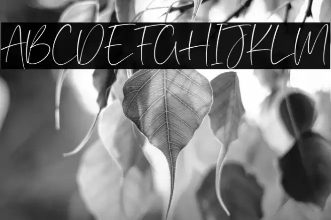 Southwood Font examples