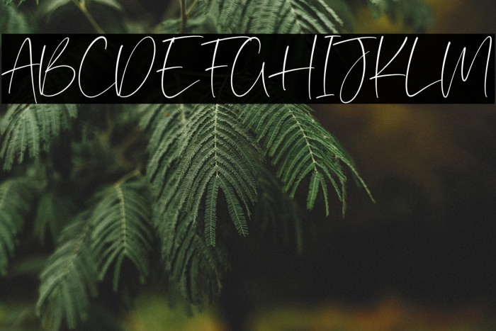 Southwood Font examples