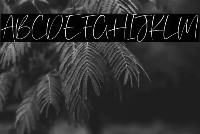 Southwood Font examples