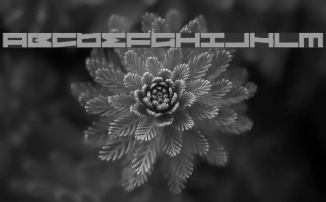 Sovereign State Font examples