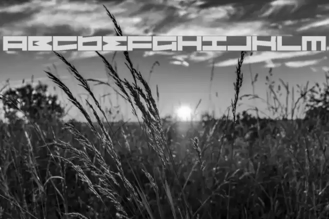 Sovereign State Font examples