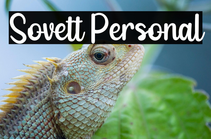 Sovett Personal Example 3