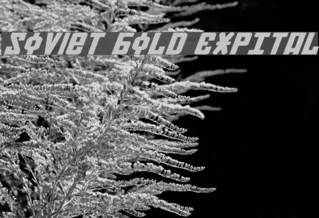 Soviet Bold ExpItal Font examples