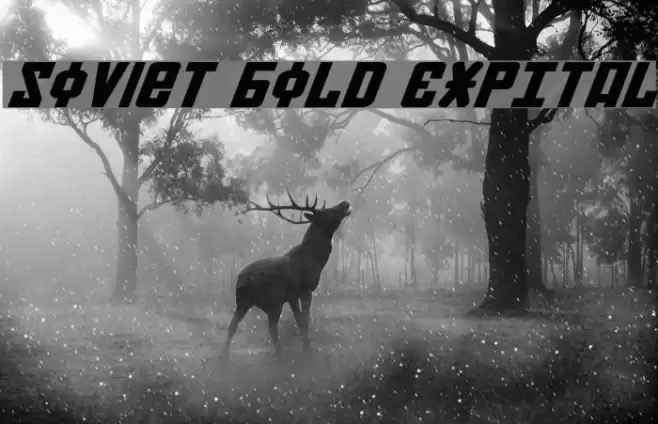 Soviet Bold ExpItal Font examples
