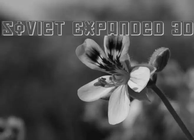 Soviet Expanded 3D Шрифта examples