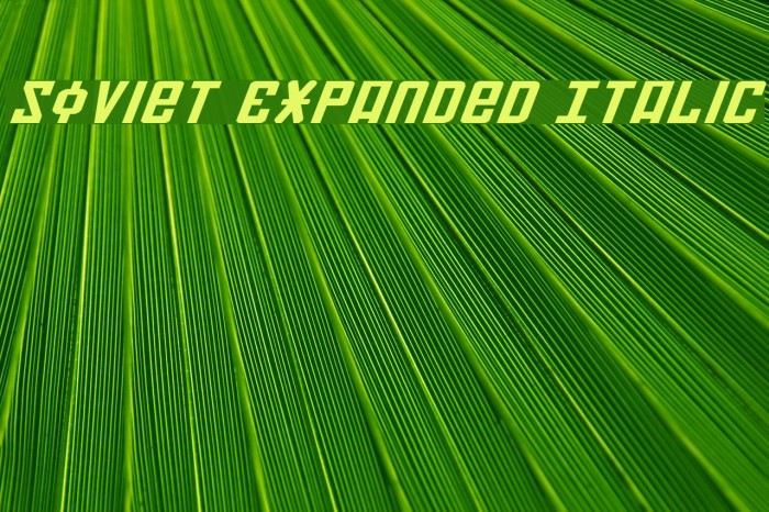 Soviet Expanded Italic Font examples