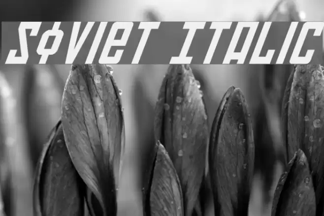 Soviet Italic Font examples