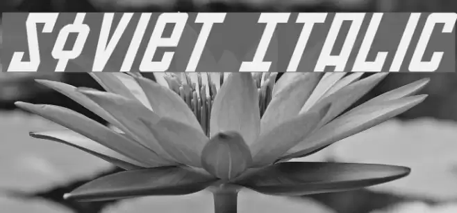 Soviet Italic Font examples