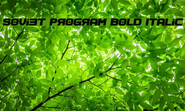 Soviet Program Bold Italic Font examples