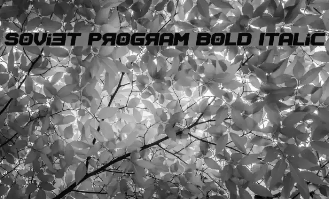 Soviet Program Bold Italic Fuentes examples