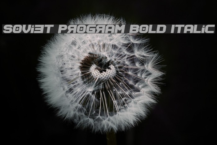 Soviet Program Bold Italic Font examples