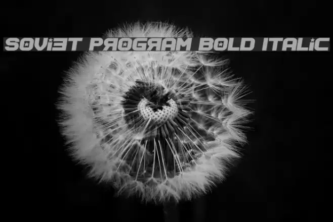 Soviet Program Bold Italic Fuentes examples