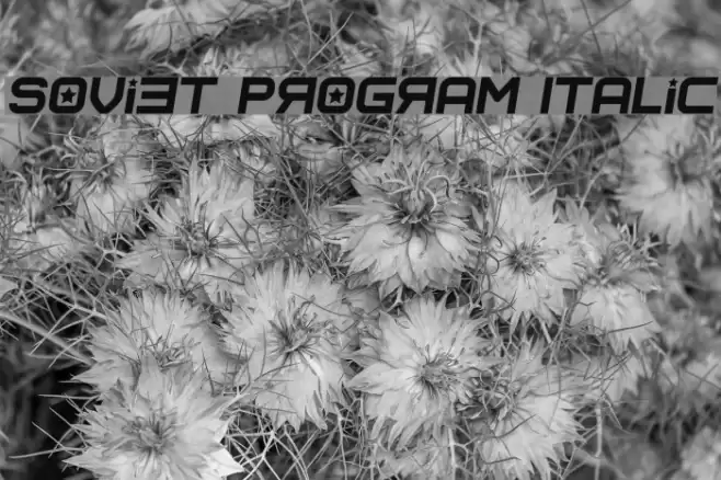 Soviet Program Italic Fuentes examples
