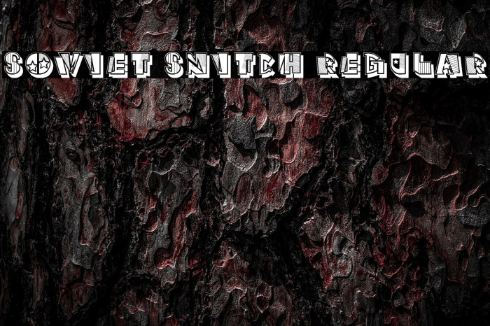 Soviet Snitch Regular Example 3