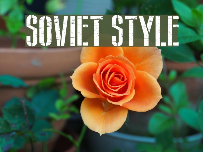 Soviet Style Шрифта examples