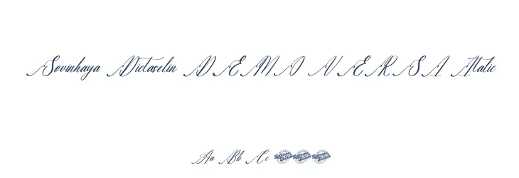 Sovinhaya Dictaselin DEMO VERSI Italic