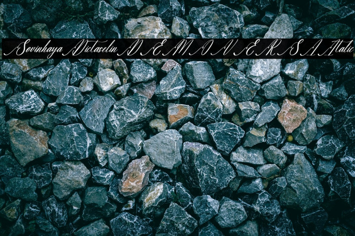 Sovinhaya Dictaselin DEMO VERSI Italic Example 2