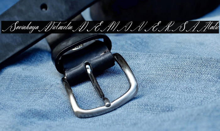 Sovinhaya Dictaselin DEMO VERSI Italic Example 3