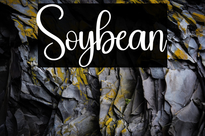 Soybean Example 1