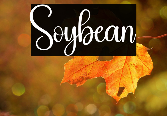 Soybean Example 2