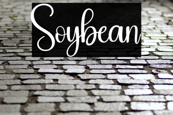 Soybean Example 3