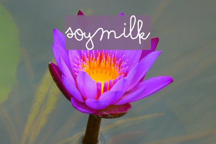 Soymilk Font examples