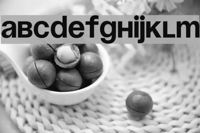 Soyuz Grotesk Bold Font examples