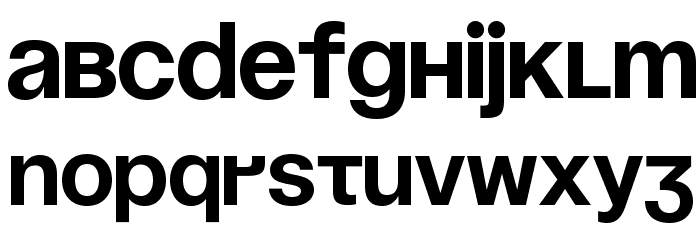 Soyuz Grotesk Bold Font LOWERCASE