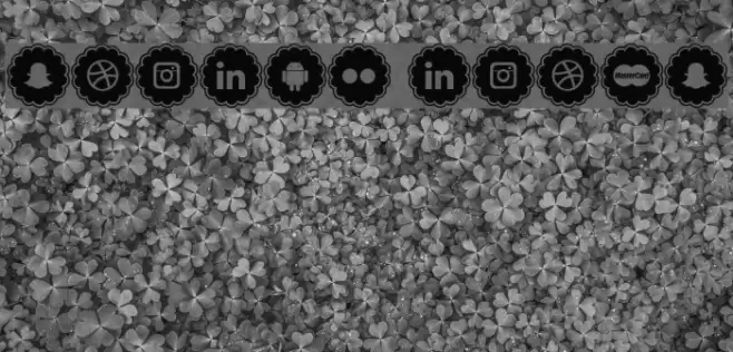 social icons Font examples