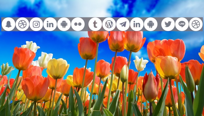 social media two Font examples