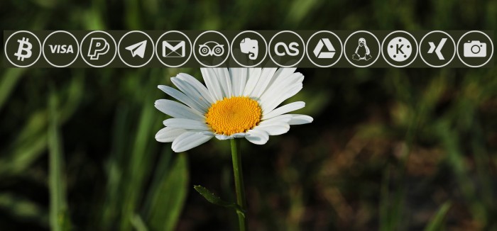social media Шрифта examples