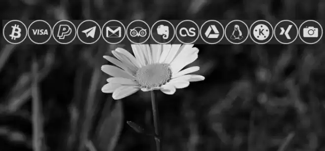 social media Font examples