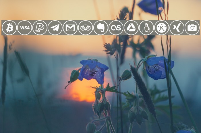 social media Шрифта examples