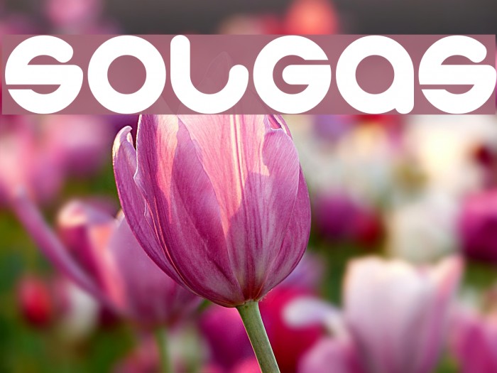 solgas Font examples
