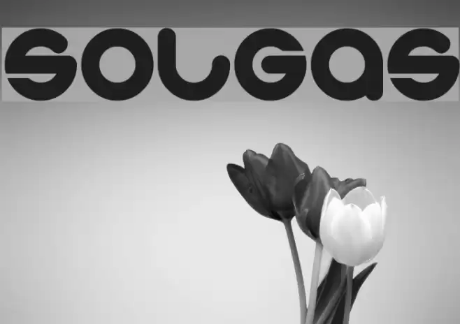 solgas Font examples