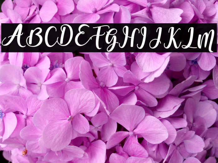 someday-Bold Example 3